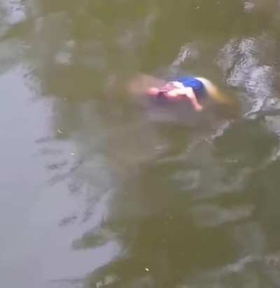 Crocodile gets fresh kill