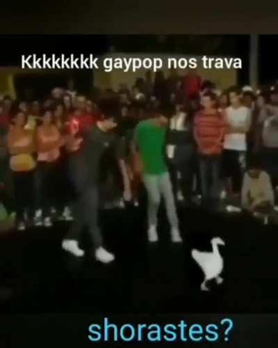 V&oacute; trava teu zap raposito 😠😠🤡🤡