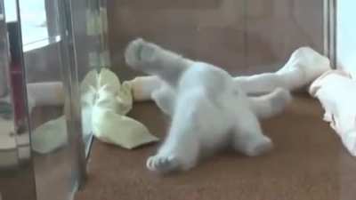 All that work for a nap position switch