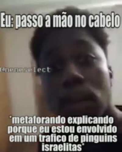 abelh&atilde;