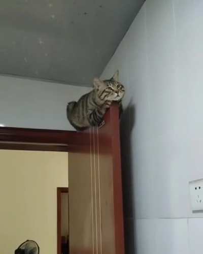 Nice place to sleep