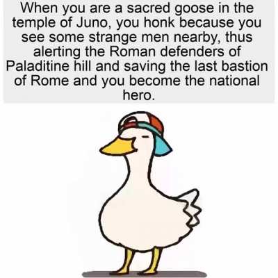 Lucky goose