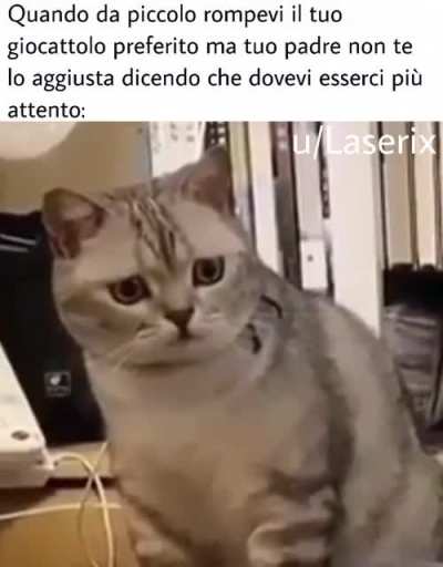 Che ne pensate?