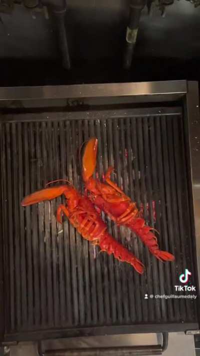 Big Lobster grilling