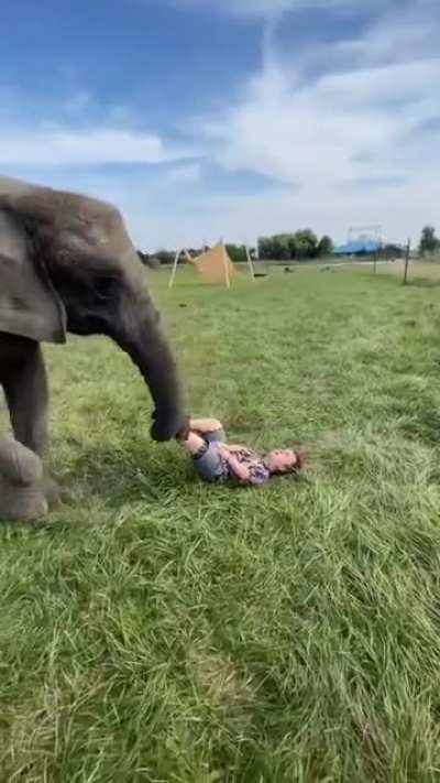 It's playtime!