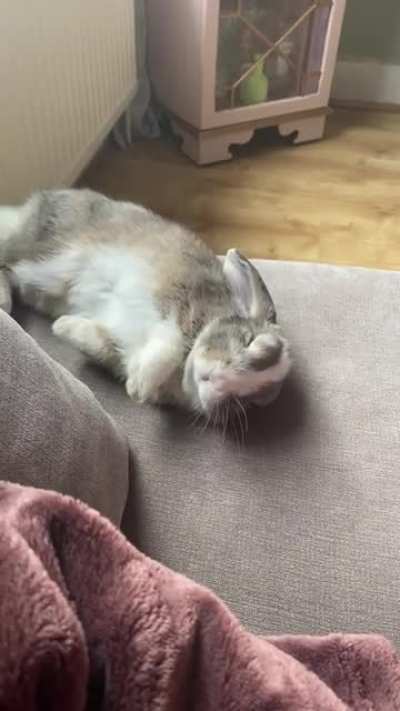 Anddddd nap
