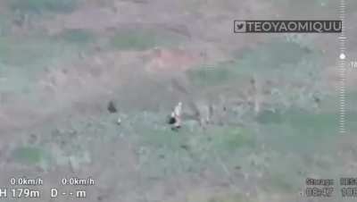 Multiple FPV strikes on Russian Infantry in a field, NSFW due to visible graphic fatalities