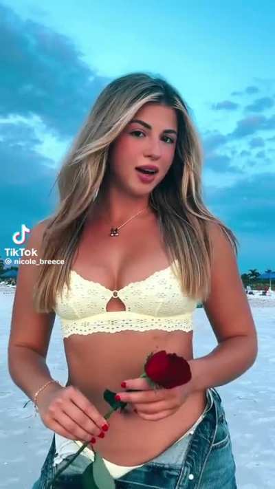 Rose flower