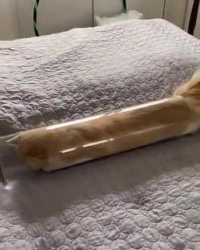 Long Boi