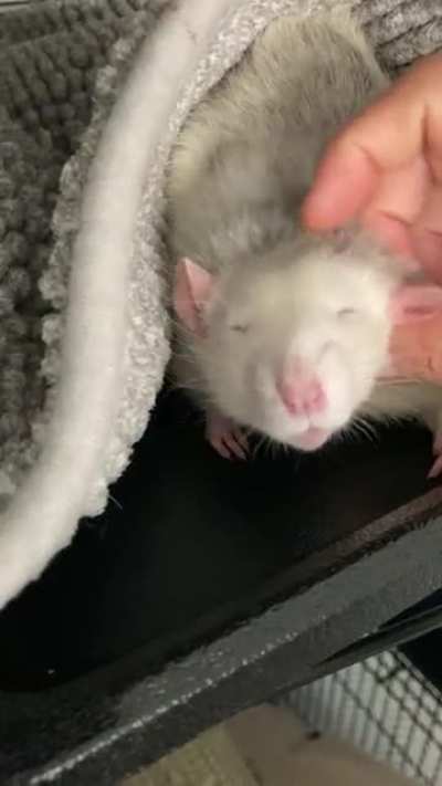 I love his &ldquo;aww yiss&rdquo; face 😍