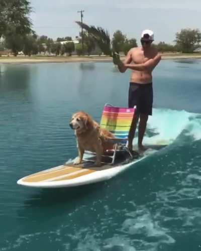 "King Good Boy" to you, peasants