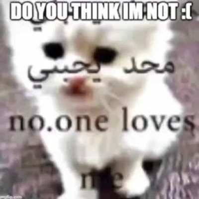 no