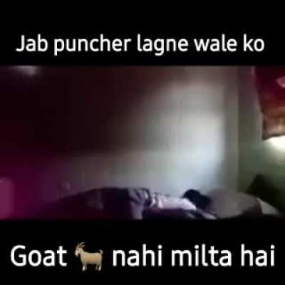Goat uncut