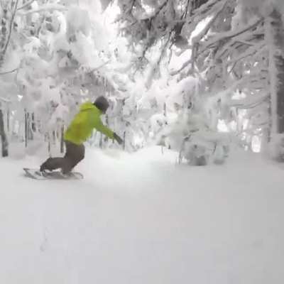 🔥 Slushing through a frozen forest's fresh snow (Sugar Mountain) 🔥