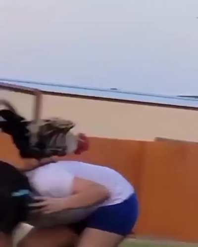 Gallo