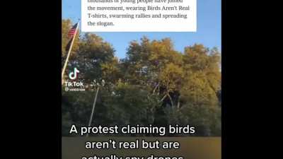 &lsquo;Birds Aren&rsquo;t Real&rsquo; Protest in NYC.