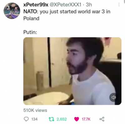 Putin: "CALM DOWN NATO, MISS INPUT"