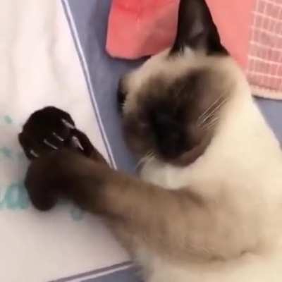 Think again human