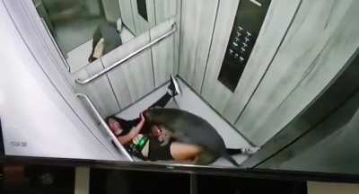 Dog Attacks Owner in Colombia