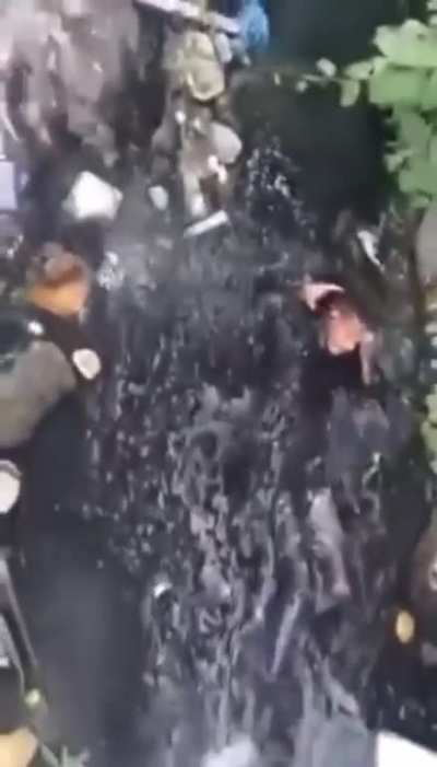 Vida boa...