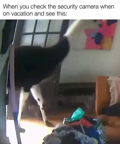 Maybe maybe maybe