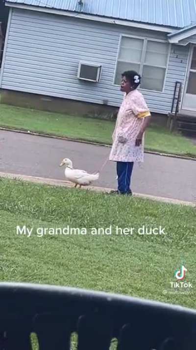 Grandma and duck