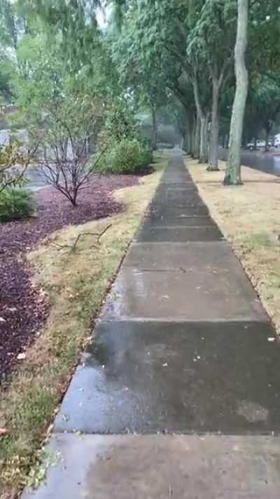 Chicagoland Rain