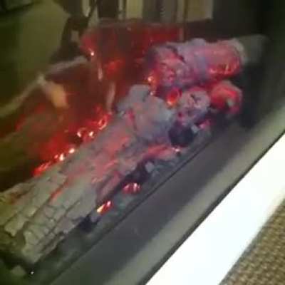 Random video #22