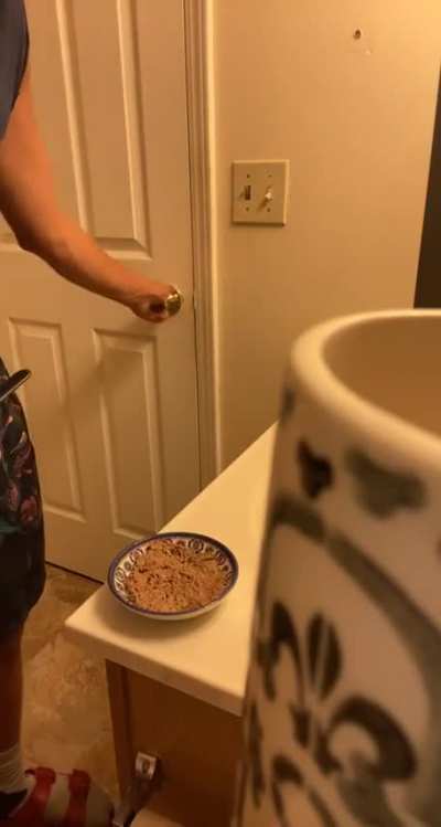 So I prepare my cats food in my bathroom to avoid them nibbling while I&rsquo;m making it. They are well aware of this. I am a slave.