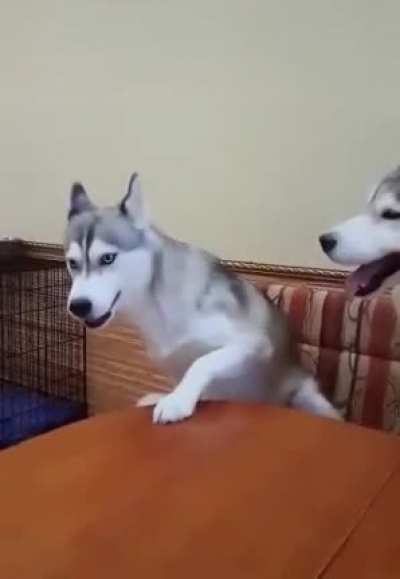 Go away ,...you're drunk!
