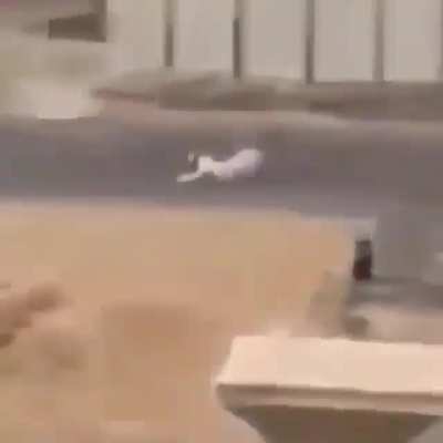 İyiki bu flair var ha yoksa lin&ccedil;lenme olasılığım vardı :q