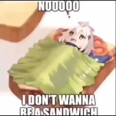 N&atilde;o quero este sandu&iacute;che