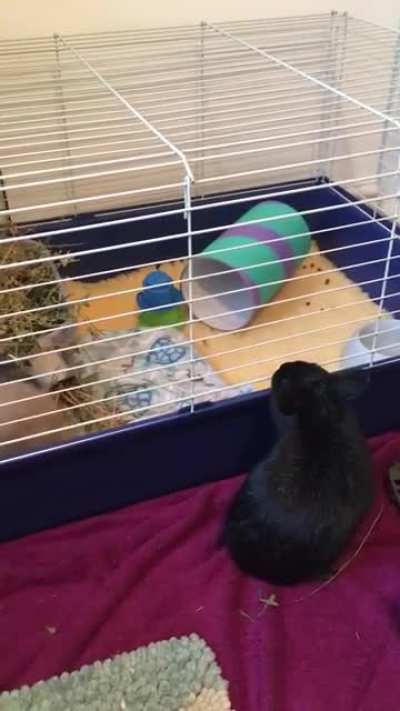Is this a good sign for bonding?