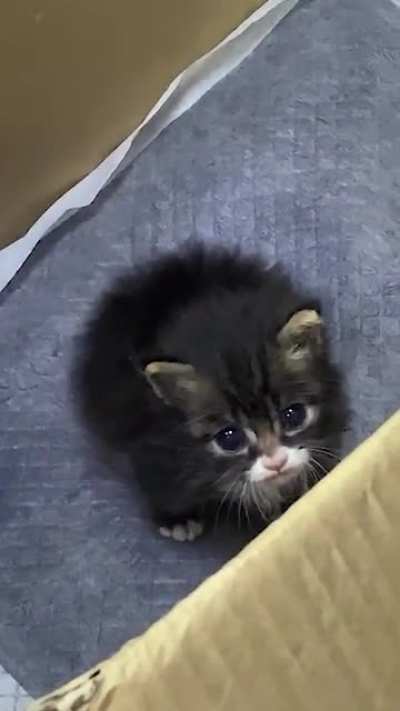 Love meeeee!!