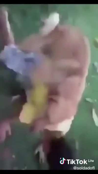 Eu te amo caramelo