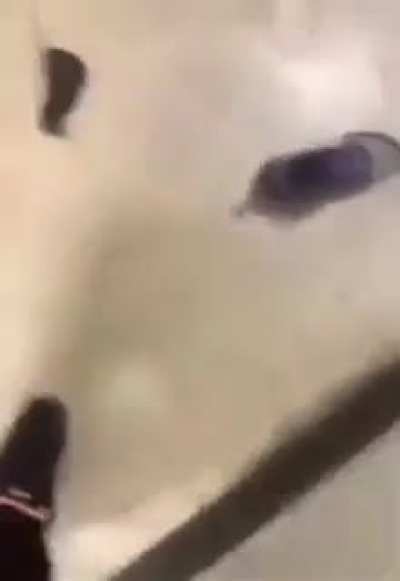 Nioce