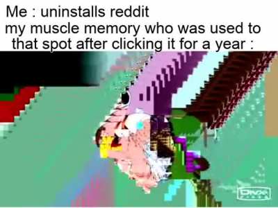I literaly reinstalled reddit to make this meme