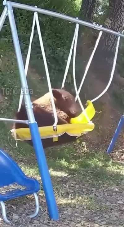 While no one sees