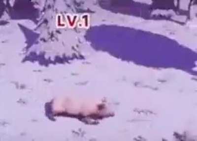 PogU