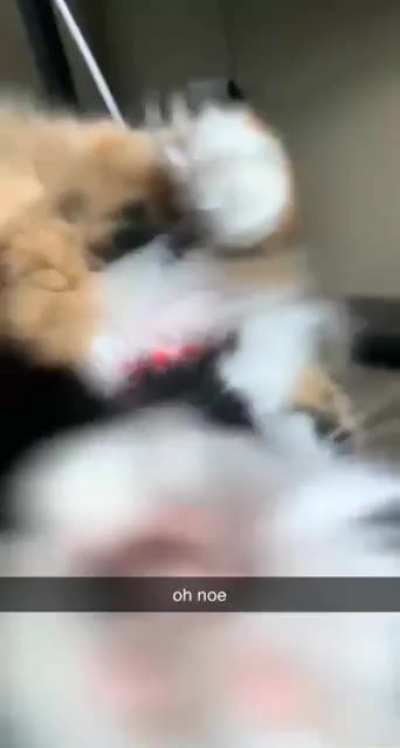 oh noe