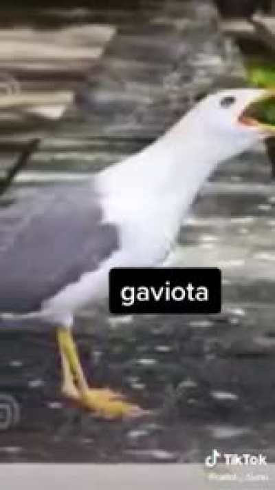 Nn sei c j&aacute; postaram