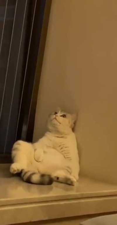 What am i doing with my life?