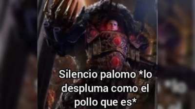 Zy