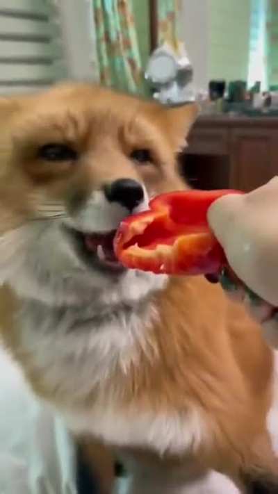 Munching and crunching