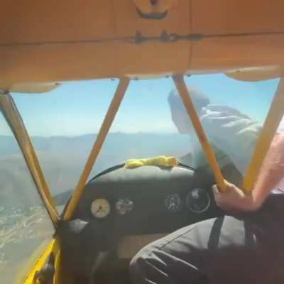 After engine failure the pilot turns the propeller by hand