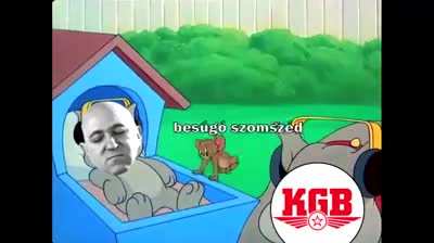 50es &eacute;vek b&iacute; l&aacute;jk