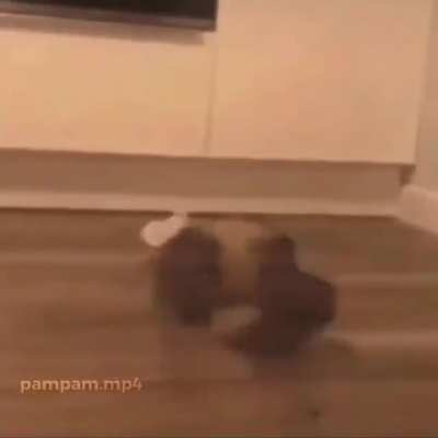 😳