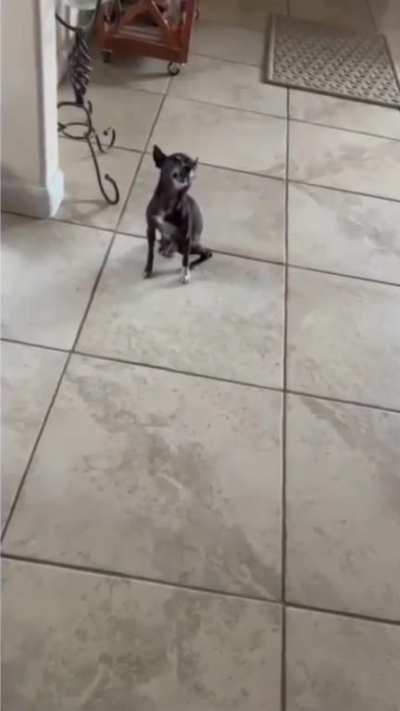 A very big sneeze for such a tiny gentleman!