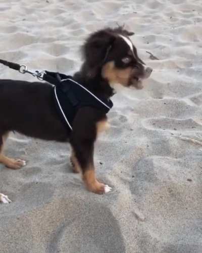 Trying sand