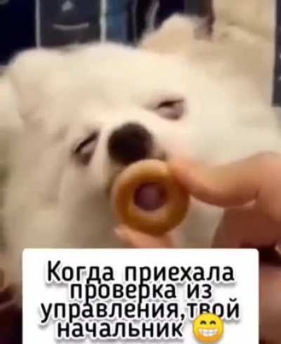 Проверка